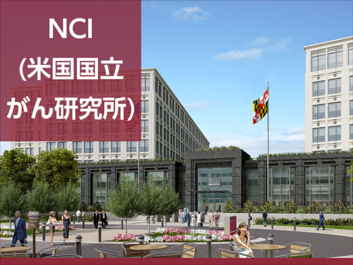 がんの転移の画像