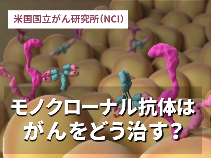 モノクローナル抗体はがんをどう治す？の画像