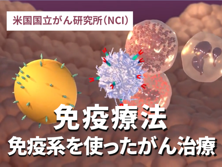 免疫療法：免疫系を使ったがん治療の画像