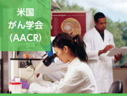 試験不適格の多発性骨髄腫患者でテクリスタマブが有益との実臨床データの画像