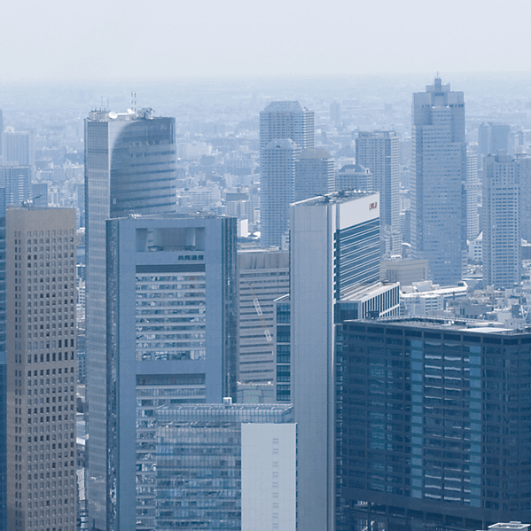 表示確認用の画像